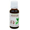 RAVINTSARA 20ML-Ceven Aromes