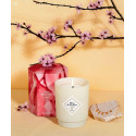 Bougie parfumée FLEUR DE CERISIER-My Jolie Candle