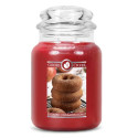 Bougie parfumée SUGARED CINNAMON DONUT-Goose Creek
