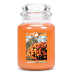 Bougie parfumée BLOOMING HARVEST-Goose Creek