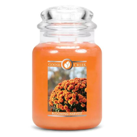 Bougie parfumée GOOSE CREEK grande jarre BLOOMING HARVEST 