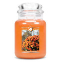 Bougie parfumée BLOOMING HARVEST-Goose Creek