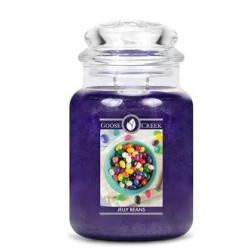 Bougie parfumée JELLY BEANS-Goose Creek