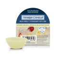 LIMONADE GLACÉE-Yankee Candle