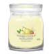 LIMONADE GLACÉE AUX FRUITS ROUGES-Yankee Candle