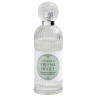 FREESIA DELICE