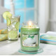 Bougie parfumée grande jarre Yankee Candle VANILLE CITRON VERT