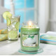 VANILLE CITRON VERT-Bougie Yankee Candle