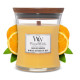 Bougie parfumée petite jarre Woodwick MIMOSA EN BORD DE MER