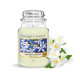 JASMIN DE MINUIT-Yankee Candle