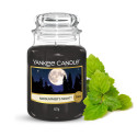 Bougie  parfumée NUIT D'ÉTÉ-Yankee Candle