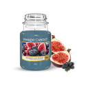 Bougie parfumée FIGUES ET MURES GOURMANDES-Yankee Candle