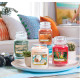 JUNGLE TROPICALE-Yankee Candle