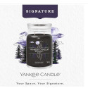 Bougie parfumée NUIT D'ÉTÉ-Yankee Candle