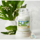 Bougie parfumée grande jarre Yankee Candle COTON FRAICHEMENT LAVÉ CLEAN COTTON