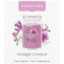 ORCHIDÉE SAUVAGE-Yankee Candle