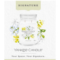 Bougie parfumée JASMIN DE MINUIT-Yankee Candle