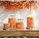 Bougie parfumée grande jarre Signature Yankee Candle PECHE SAVOUREUSE