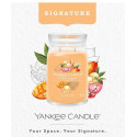 Bougie parfumée GLACE A LA MANGUE-Yankee Candle
