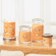 Bougie parfumée grande jarre Signature Yankee Candle GLACE A LA MANGUE