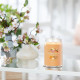 Bougie parfumée grande jarre Signature Yankee Candle GLACE A LA MANGUE