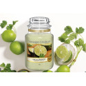 Bougie parfumée CORIANDRE ET CITRON VERT-Yankee Candle