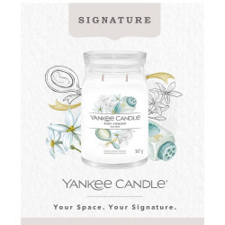 Bougie parfumée TALC BÉBÉ-Yankee Candle