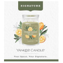 Bougie parfumée SAUGE ET AGRUMES-Yankee Candle