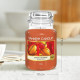 ORANGE EPICÉE-Yankee Candle