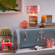 Bougie parfumée moyenne jarre Yankee Candle JUNGLE TROPICALE