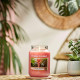 Bougie parfumée moyenne jarre Yankee Candle THE LAST PARADISE