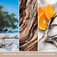 Bougie parfumée moyenne jarre Signature yankee Candle BOIS EN BORD DE MER