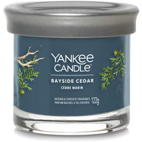 Bougie parfumée petite jarre Yankee Candle CEDRE MARIN
