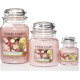 Bougie parfumée petite jarre Yankee Candle ROSES FRAICHEMENT COUPÉES