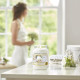 Bougie parfumée petite jarre Yankee Candle JOUR DE NOCES