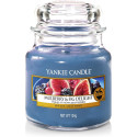 FIGUES ET MURES GOURMANDES-yankee Candle