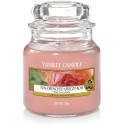 ROSE SUCCULENTE-Yankee Candle