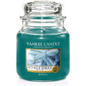 SAPIN ENNEIGÉ-Yankee Candle