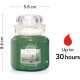 SAPINS DANS LA BRUME-Bougie Yankee Candle