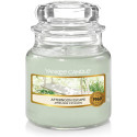 AFTERNOON ESCAPE-Yankee Candle