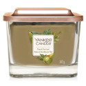 POIRE ET FEUILLES DE THÉ-Yankee Candle