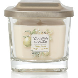 VERGER D'AGRUMES-Bougie Yankee Candle