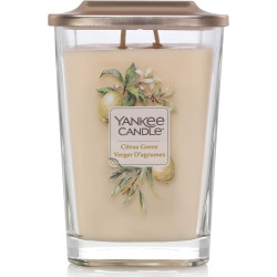 VERGER AGRUMES-Yankee Candle