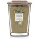 Bougie parfumée grande jarre Élévation Yankee Candle POIRE ET FEUILLES DE THÉ