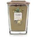 POIRE ET FEUILLES DE THÉ-Yankee Candle