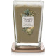 Bougie parfumée grande jarre Élévation Yankee Candle POIRE ET FEUILLES DE THÉ