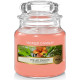 THE LAST PARADISE-Yankee Candle