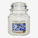 Bougie parfumée JASMIN DE MINUIT-Yankee Candle