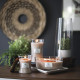 Bougie parfumée Ellipse Woodwick SEL MARIN VANILLE