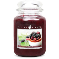 Bougie parfumée MURE-Goose Creek
